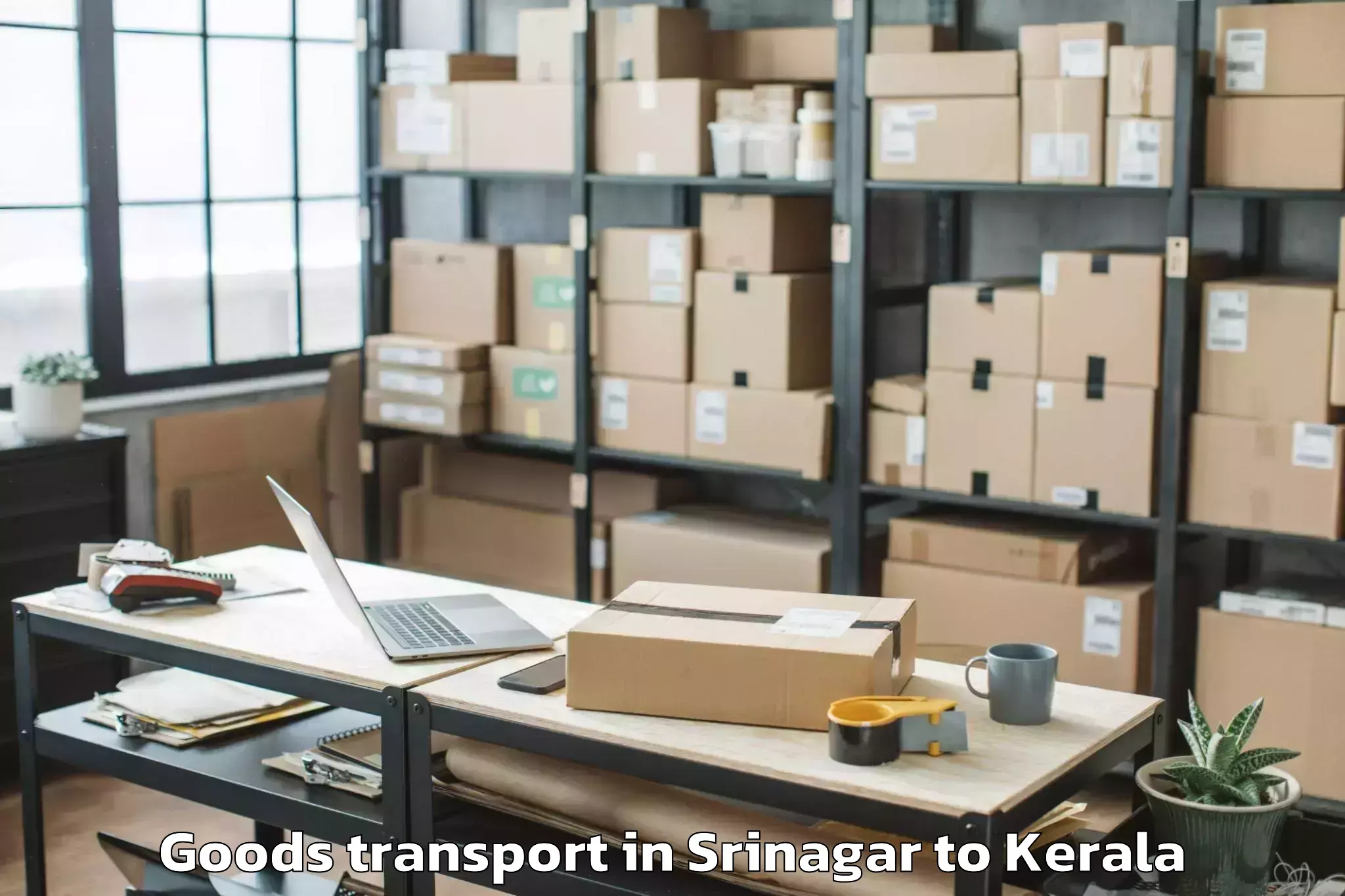 Discover Srinagar to Wadakkanchery Goods Transport